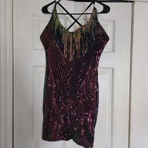 Multicolor Sequin Fringe Dress
